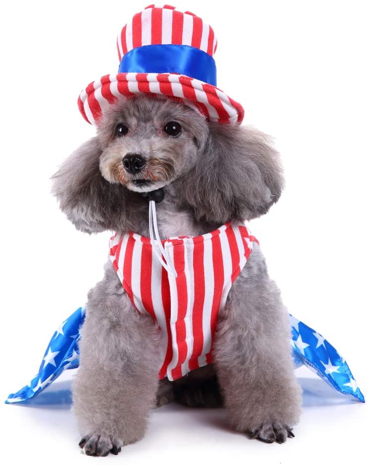 QiFlye Pet Clothes Small Medium Dog Cat Princess Beauty Clothes Pet Costumes Apparel Party Holiday Dresses Skirts